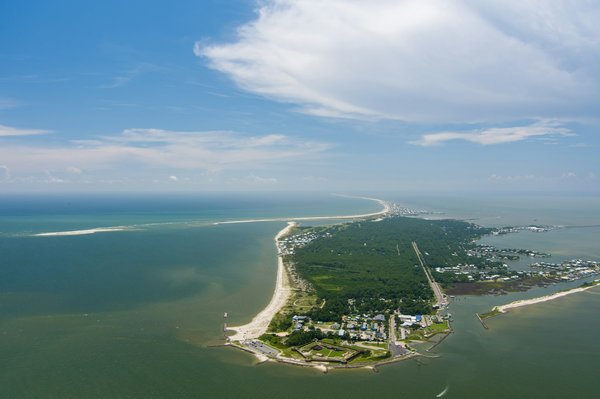 Quels sont les meilleurs spots pour une plongée avec les dauphins en Nouvelle-Calédonie?